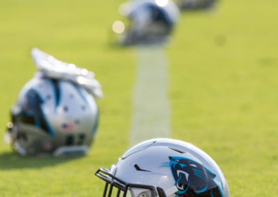 Panthers Helmets