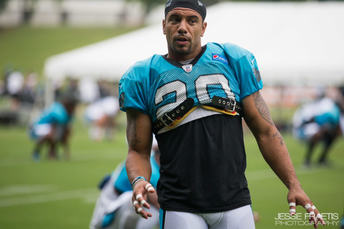 Panthers celebrate 28th year of training camp 