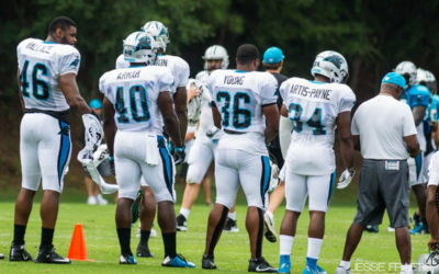 What Would the Panthers Offense Look Like Without a Fullback?