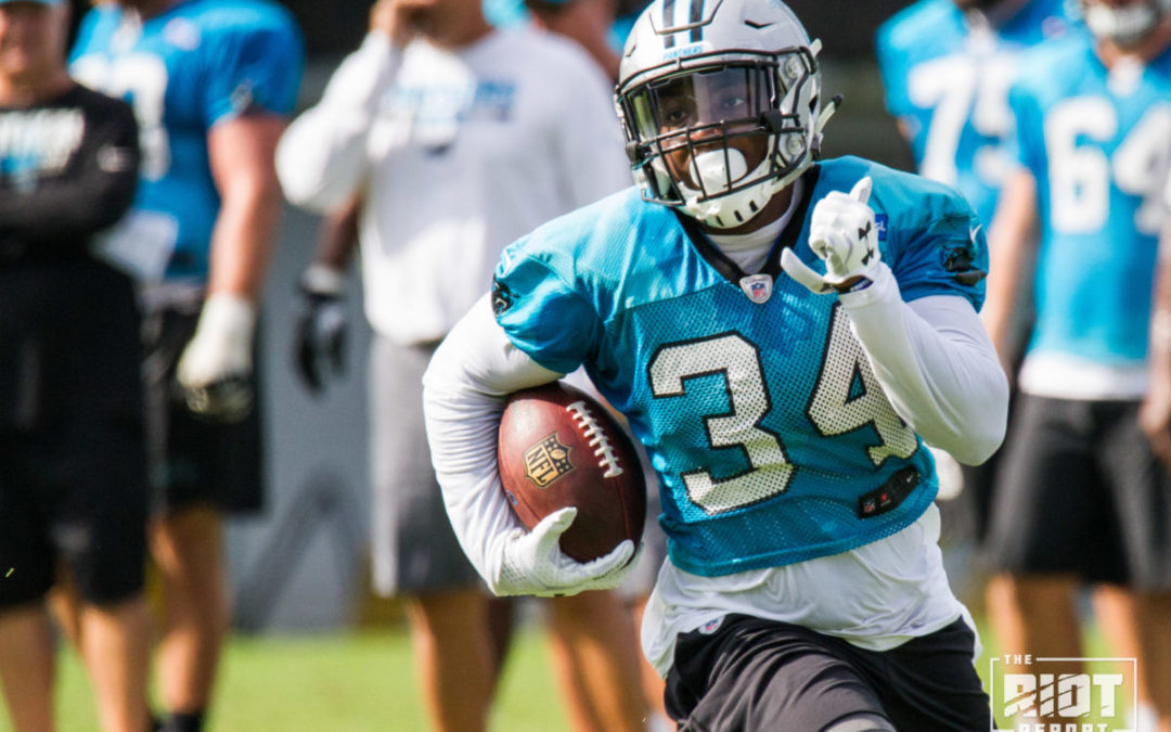 Can Cameron Artis-Payne Carry The Load?
