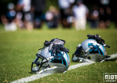 Panthers Helmets