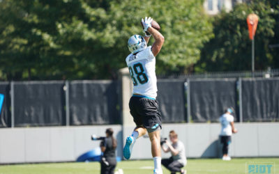 Panthers Injury Report: Olsen May Return Next Week