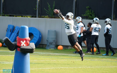 Dispatches From Panthers OTAs Week 3