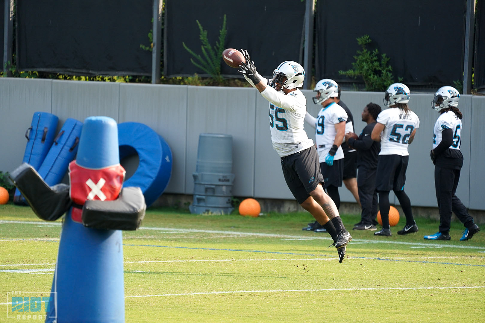 Dispatches From Panthers OTAs Week 3