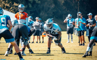 Reasons For Optimism: A Greg Little Analysis