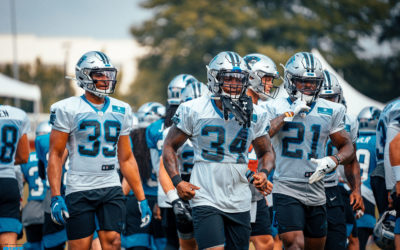 Panthers Roster Projection 2.0