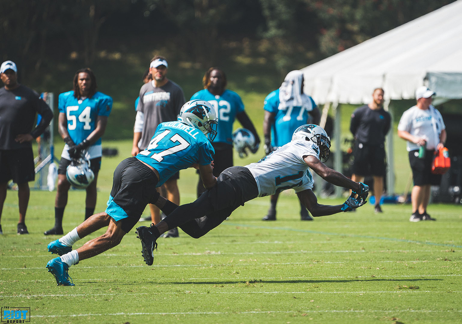 Dispatches From Spartanburg: Panthers Training Camp, Day 13
