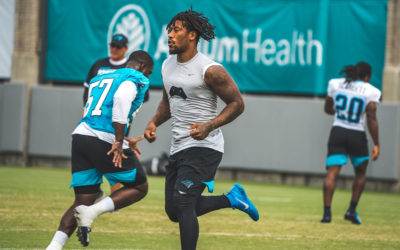 Panthers Monday Injury Report: A Guesstimation