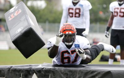 Panthers Add Guard To Replace Turner And Van Roten