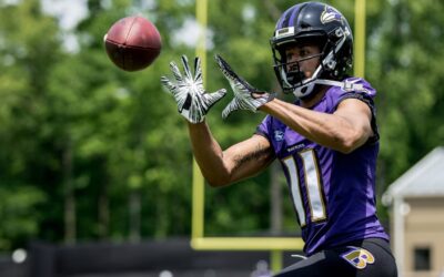 Panthers to Bring In WR Seth Roberts