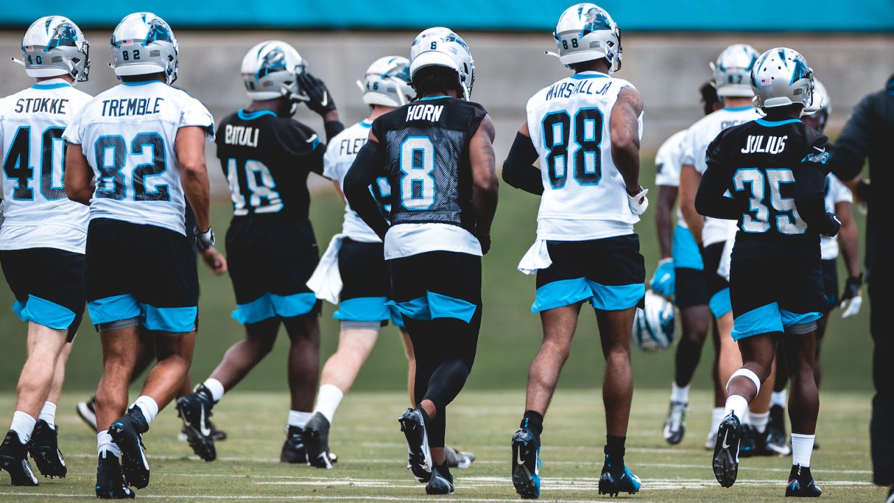 Post Rookie MiniCamp Panthers 53Man Roster Projection