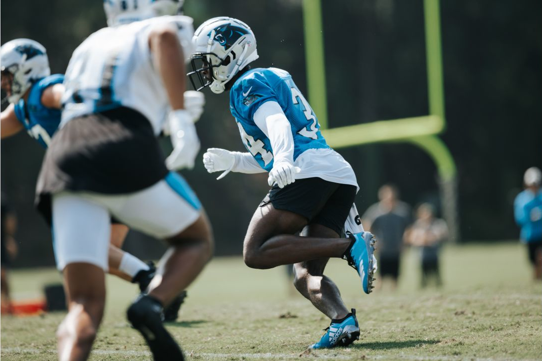 Carolina Panthers safety Sean Chandler during a NFL preseason