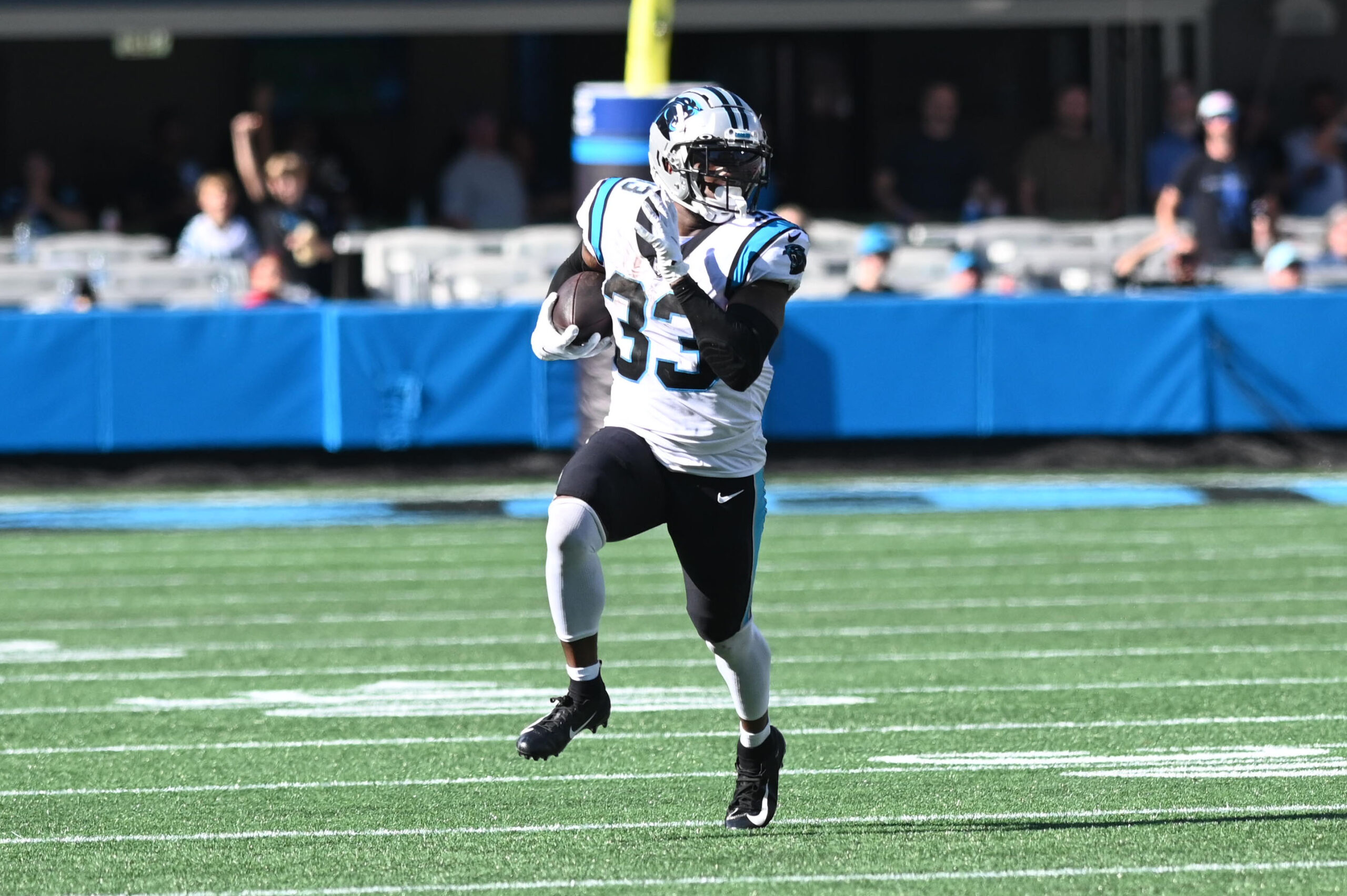 Panthers Week 9 DFS Guide: TMJ Time?